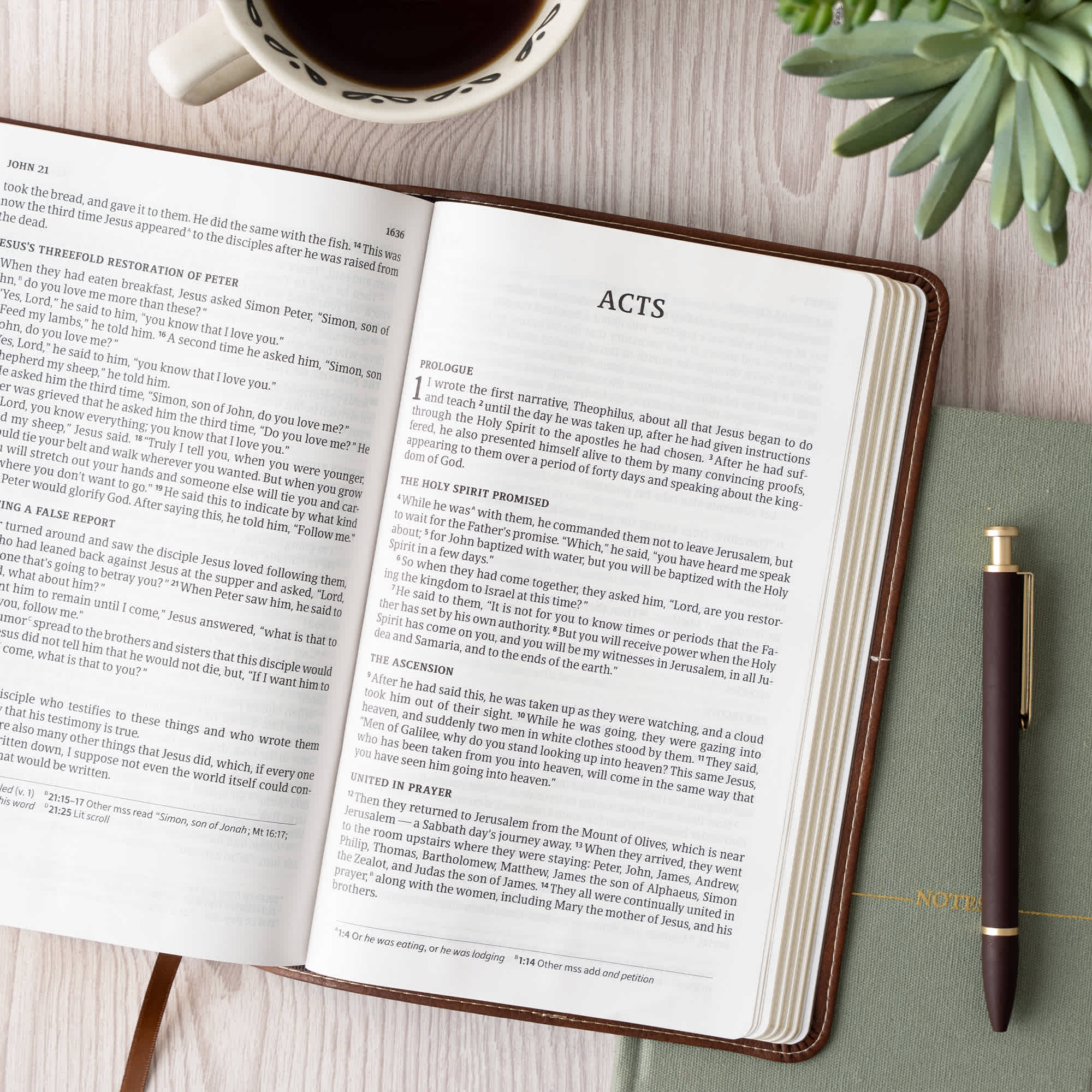 slide 7 of 11 for CSB Single-Column Personal Size Bible, Digital Study Edition, Brown LeatherTouch