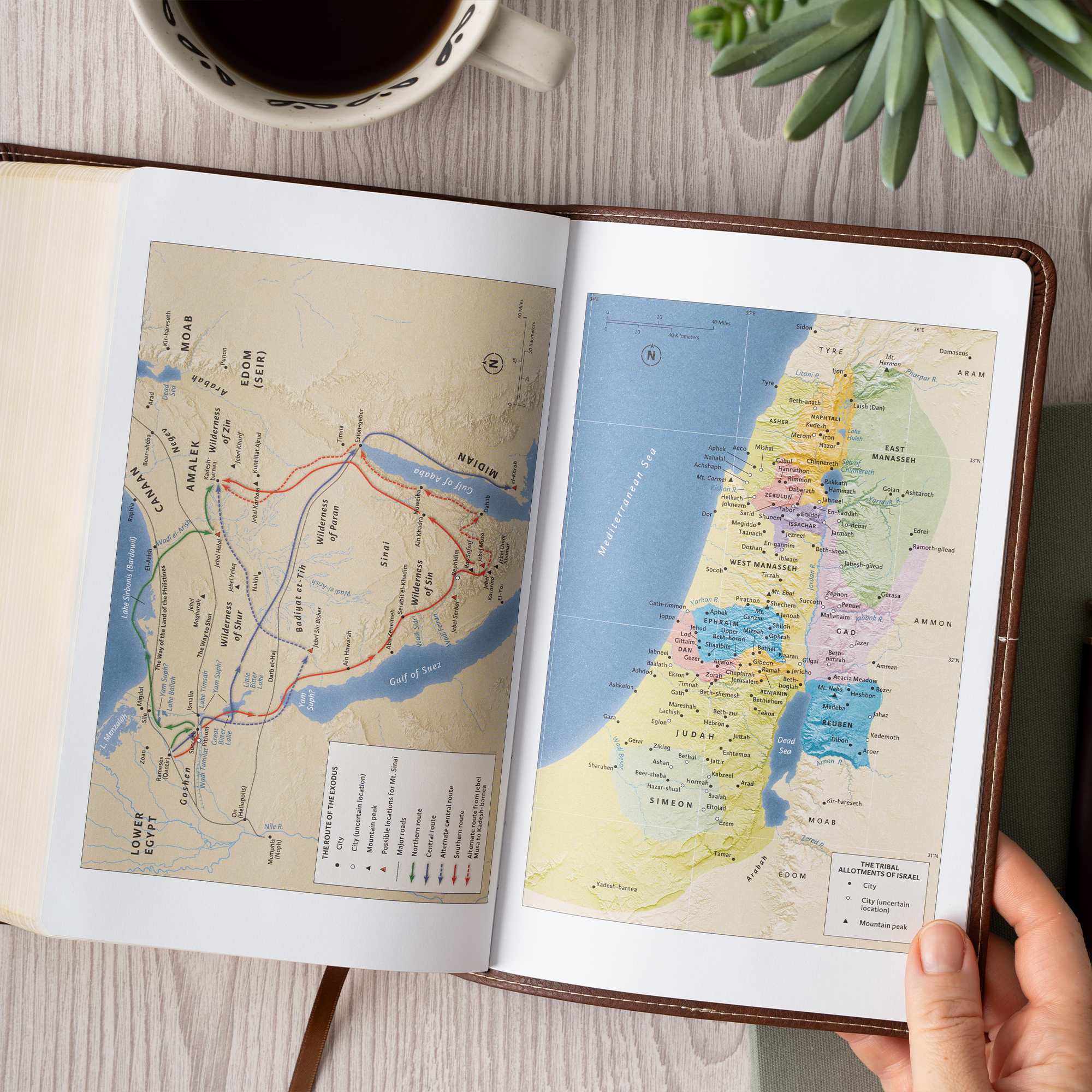 slide 8 of 11 for CSB Single-Column Personal Size Bible, Digital Study Edition, Brown LeatherTouch