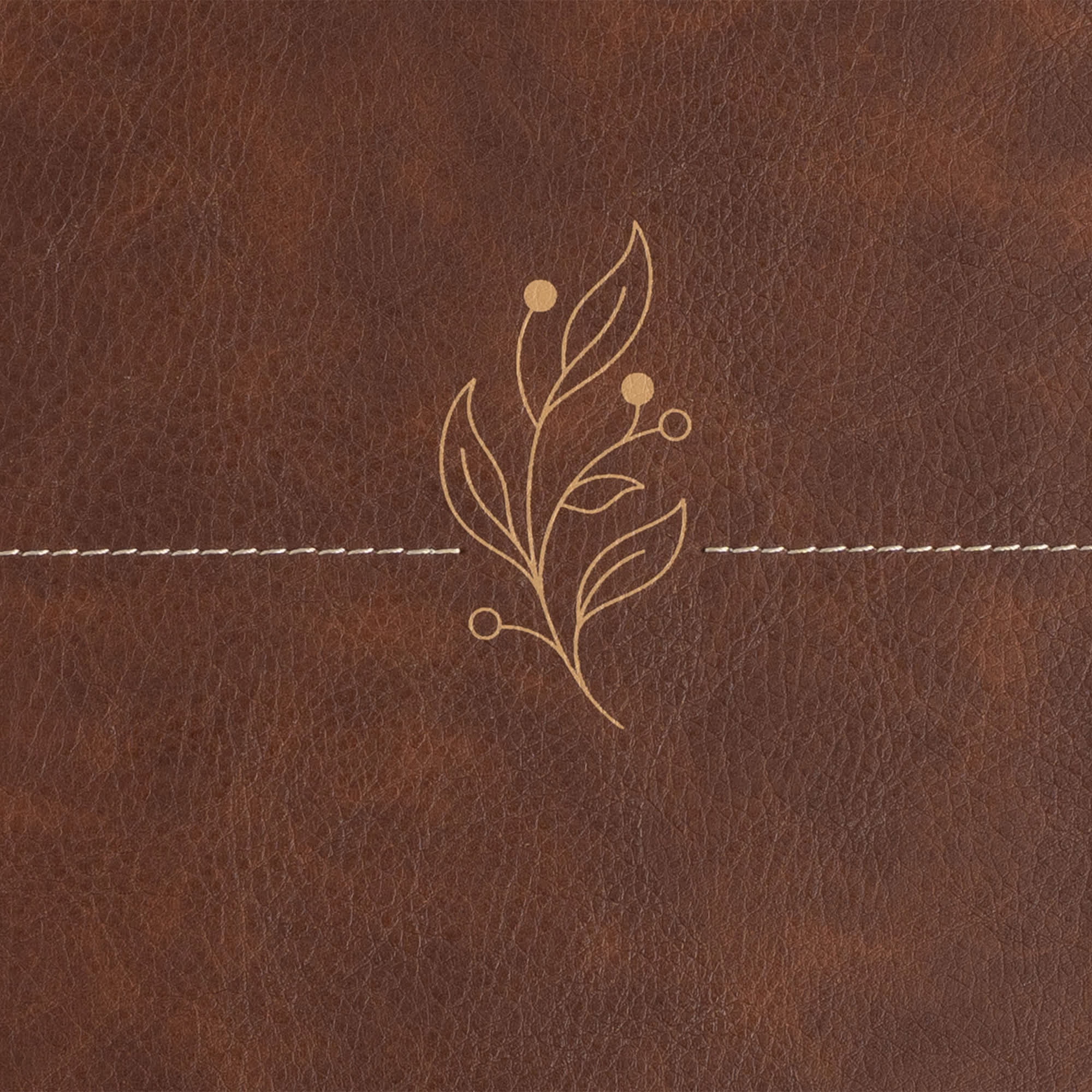 slide 10 of 11 for CSB Single-Column Personal Size Bible, Digital Study Edition, Brown LeatherTouch