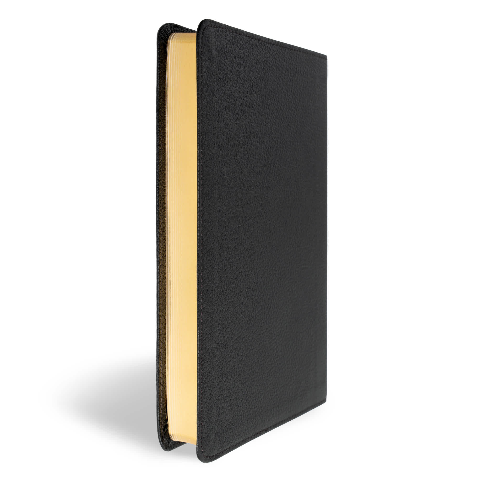 slide 4 of 11 for CSB Thinline Bible, Anglicised Edition, Black Genuine Leather