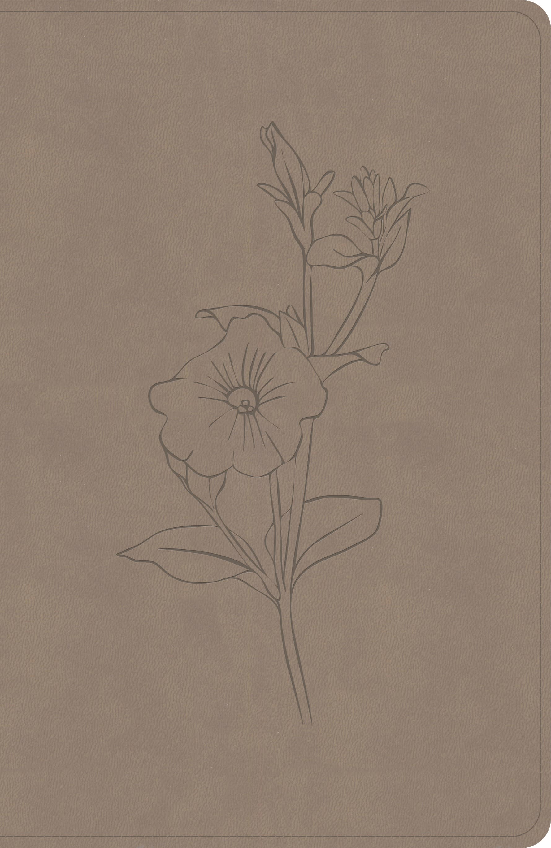 slide 1 of 2 for CSB Personal Size Giant Print Bible, Digital Study Edition, Earth SuedeSoft LeatherTouch