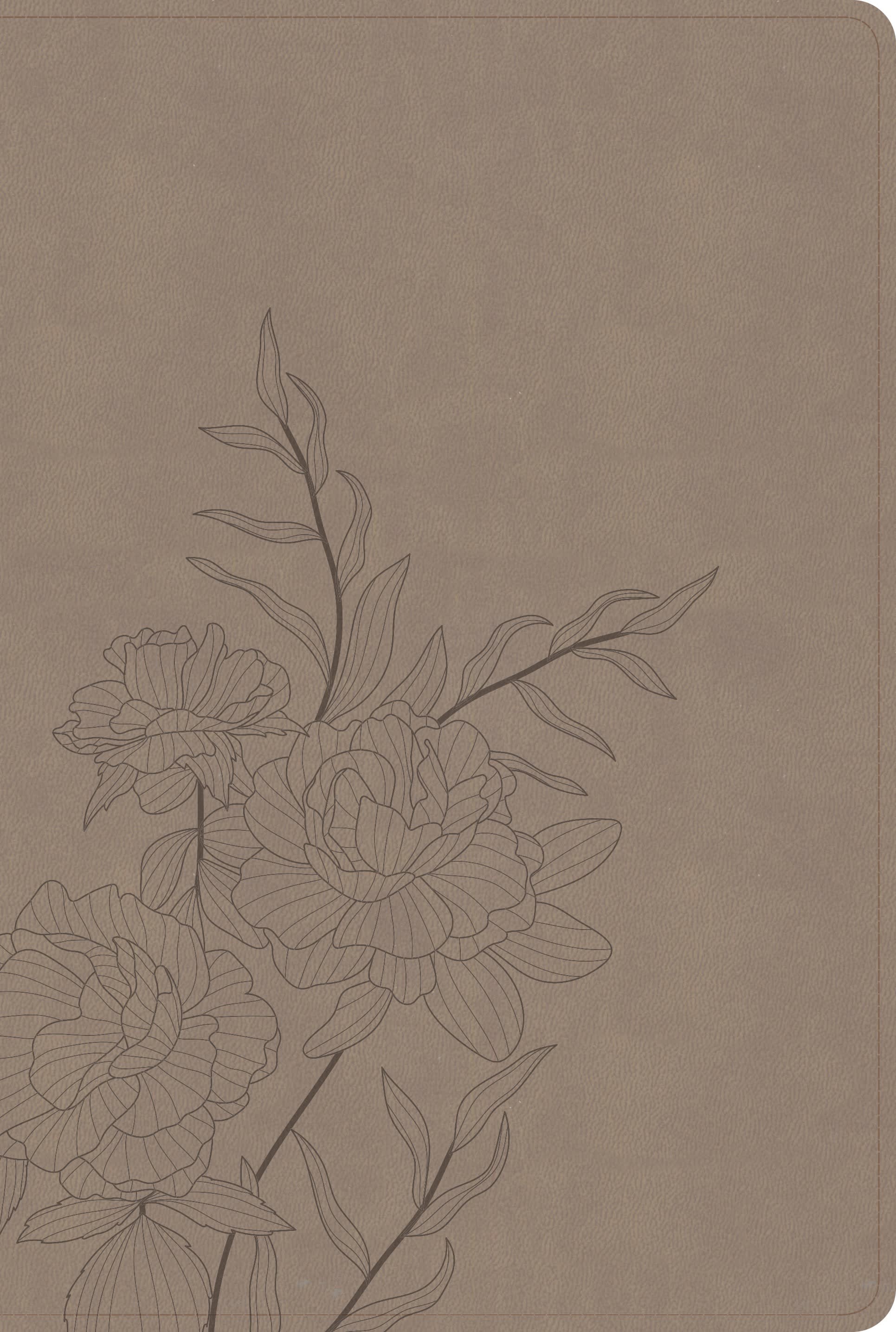 slide 1 of 2 for CSB Large Print Thinline Bible, Digital Study Edition, Earth SuedeSoft LeatherTouch