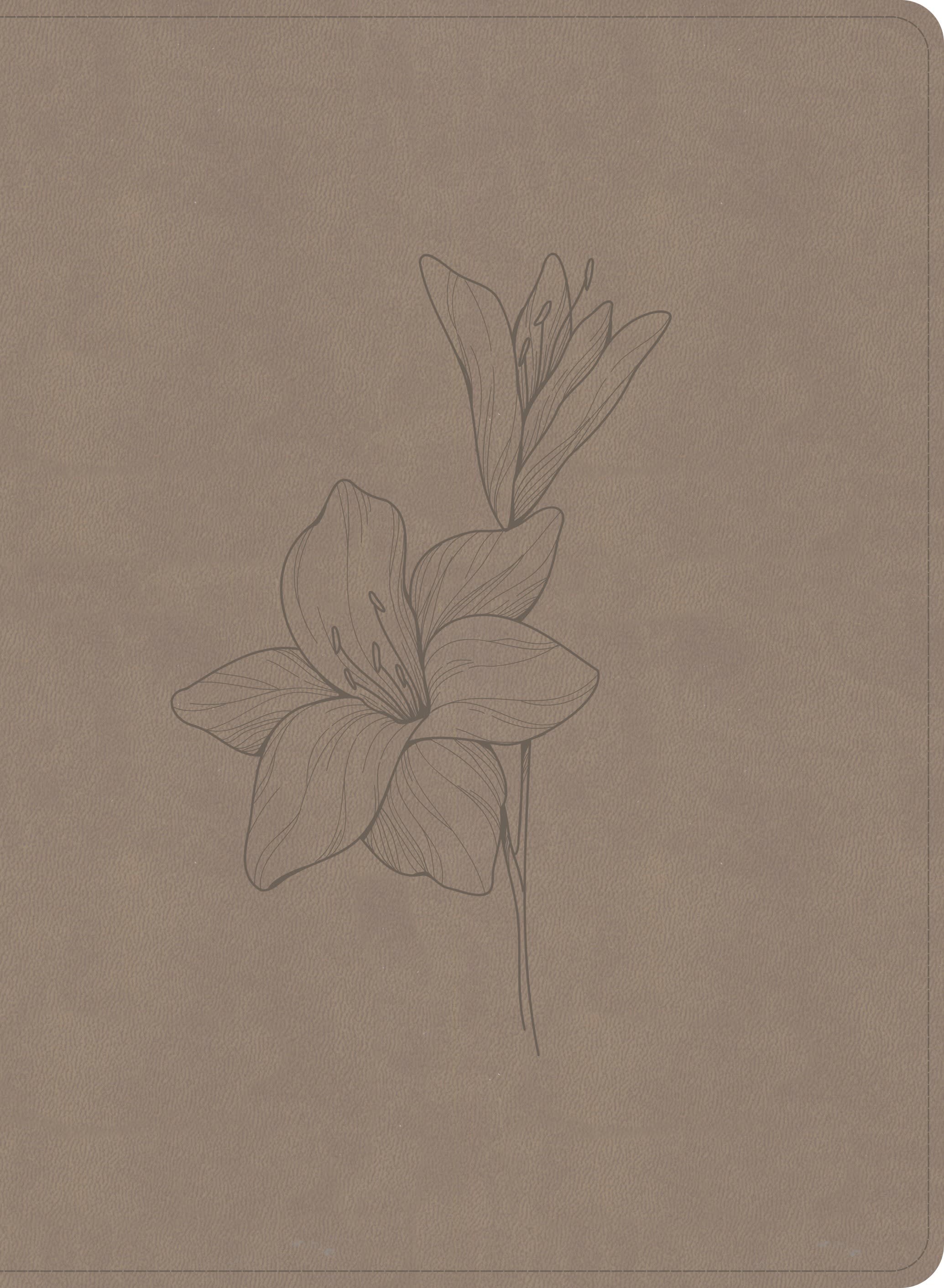 slide 1 of 2 for CSB Verse-by-Verse Reference Bible, Digital Study Edition, Earth SuedeSoft LeatherTouch