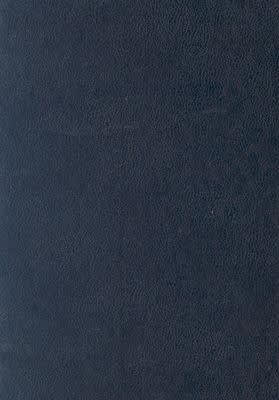 Baptist Church Manual