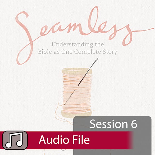 Seamless Audio Session 6