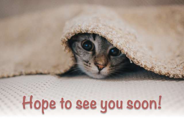 Inspirational Postcard: Hope to See You Soon! (Package of 25)