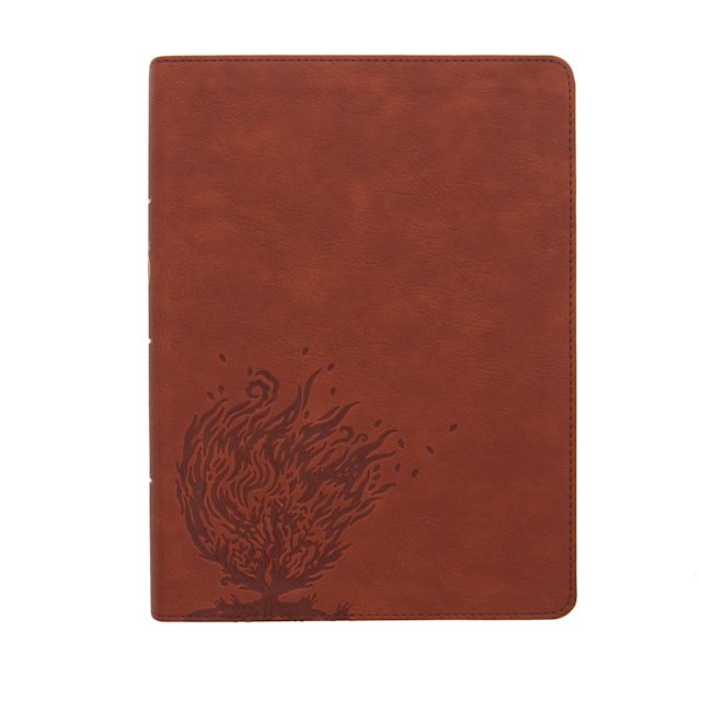 CSB Experiencing God Bible, Burnt Sienna LeatherTouch, Indexed