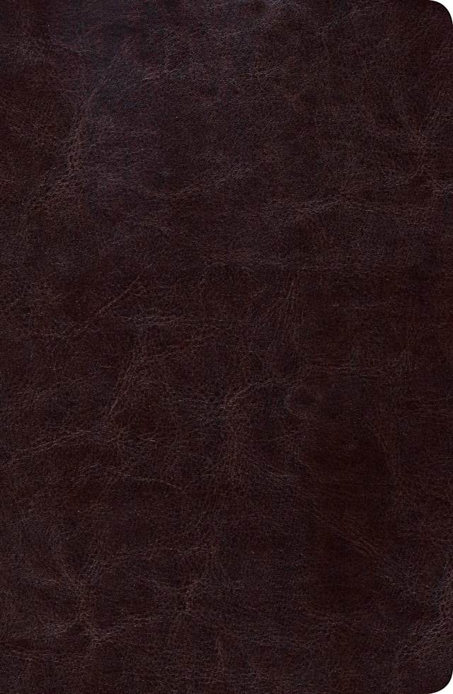 RVR 1960 Biblia de Estudio Scofield Tamano Personal, chocolate oscuro símil piel