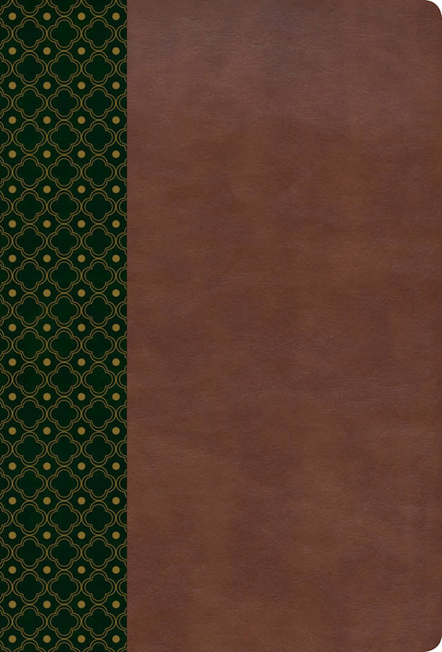 RVR 1960 Biblia de estudio Scofield, verde oscuro/castaño símil piel