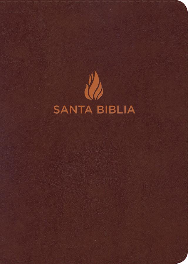 NVI Biblia letra súper gigante, marrón piel fabricada