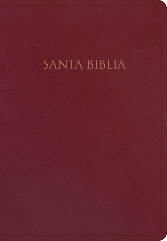 RVR 1960 Biblia para regalos y premios, borgoña imitación piel