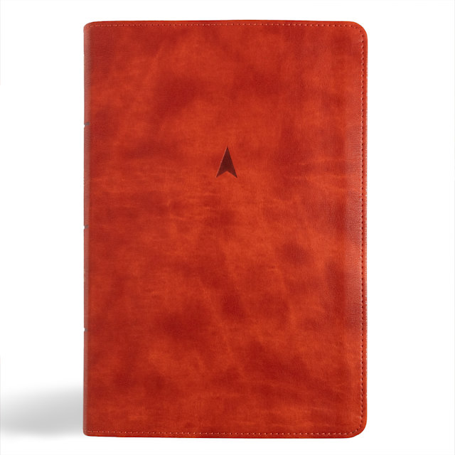 CSB Church Bible, Anglicised Edition, British Tan LeatherTouch