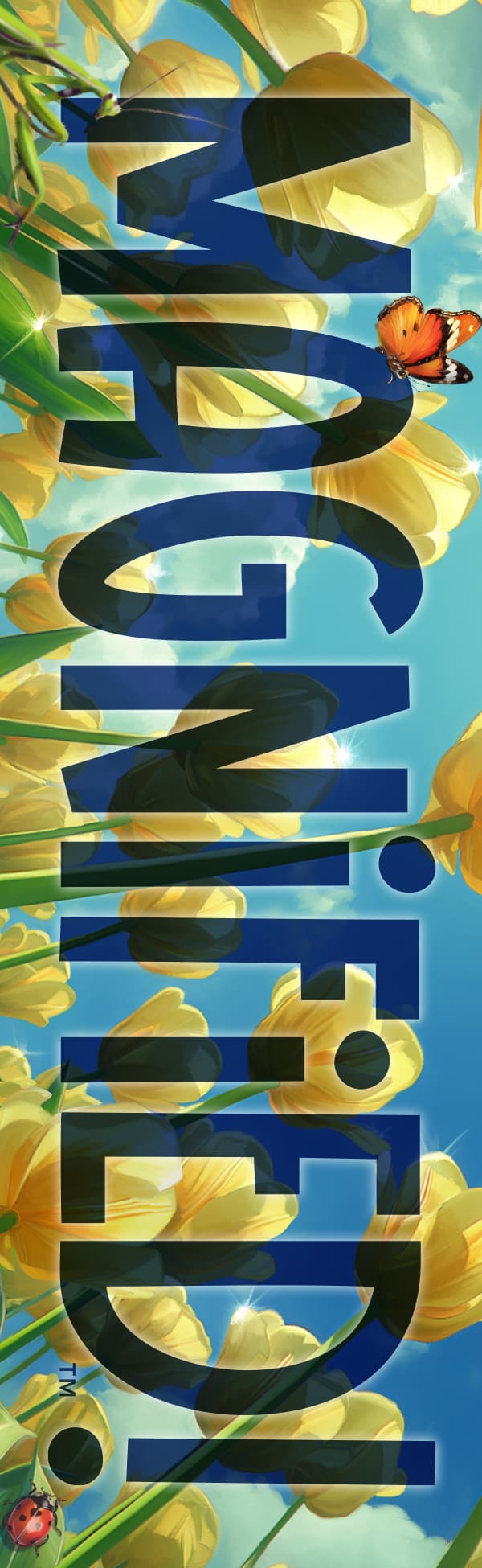 VBS 2025 Bookmarks (Package of 50)