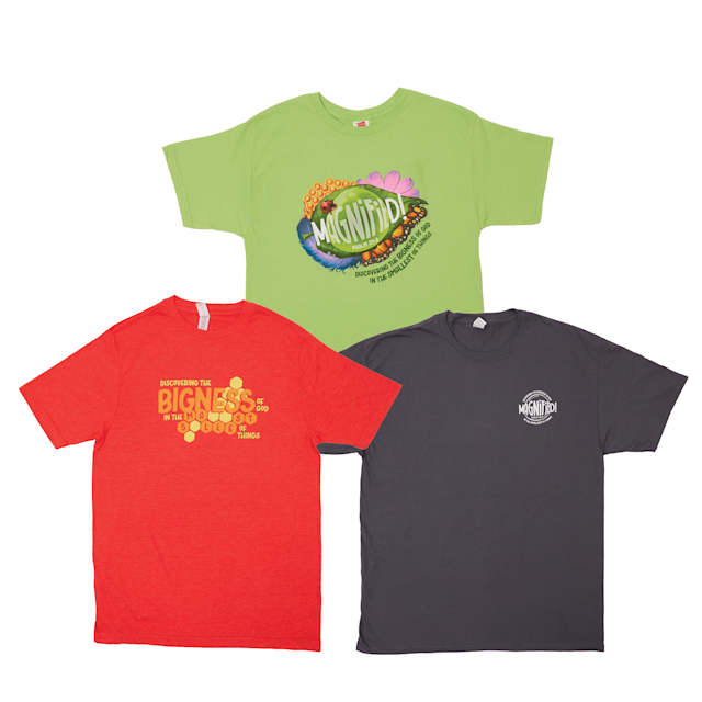 VBS 2025 Power Pack - Adult X-Large