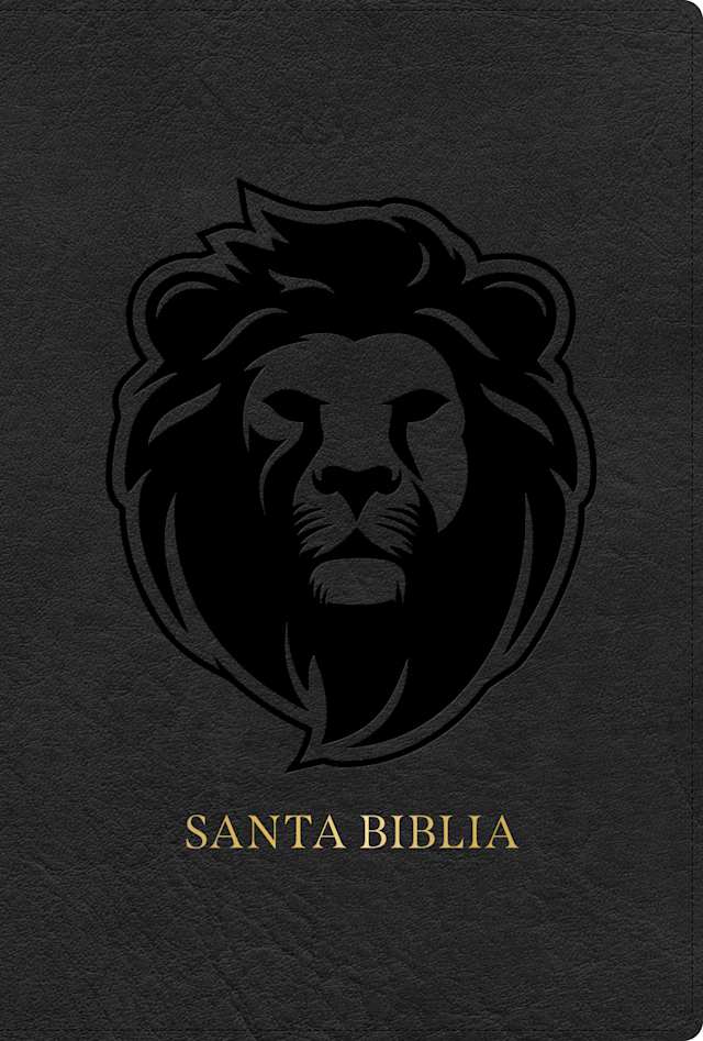RVR 1960 Biblia letra grande tamaño manual edición especial, ceniza, símil piel