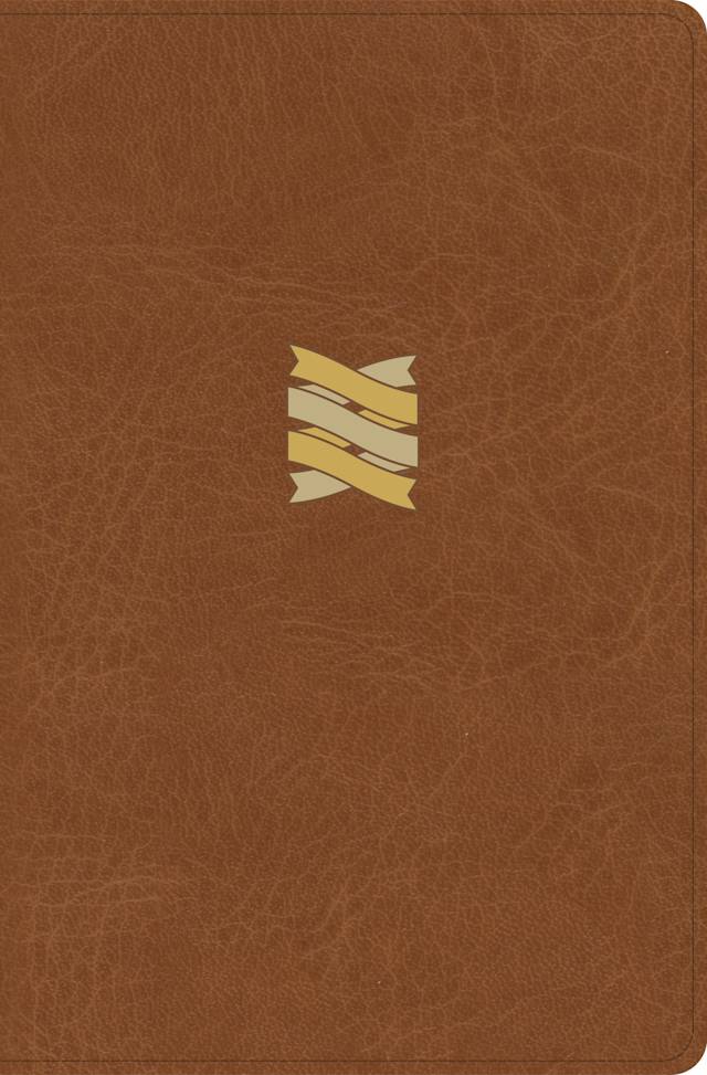 CSB Connecting Scripture New Testament, Brown LeatherTouch