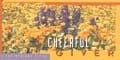 Offering Envelope: Cheerful Giver - Bill-Size (Package of 100)