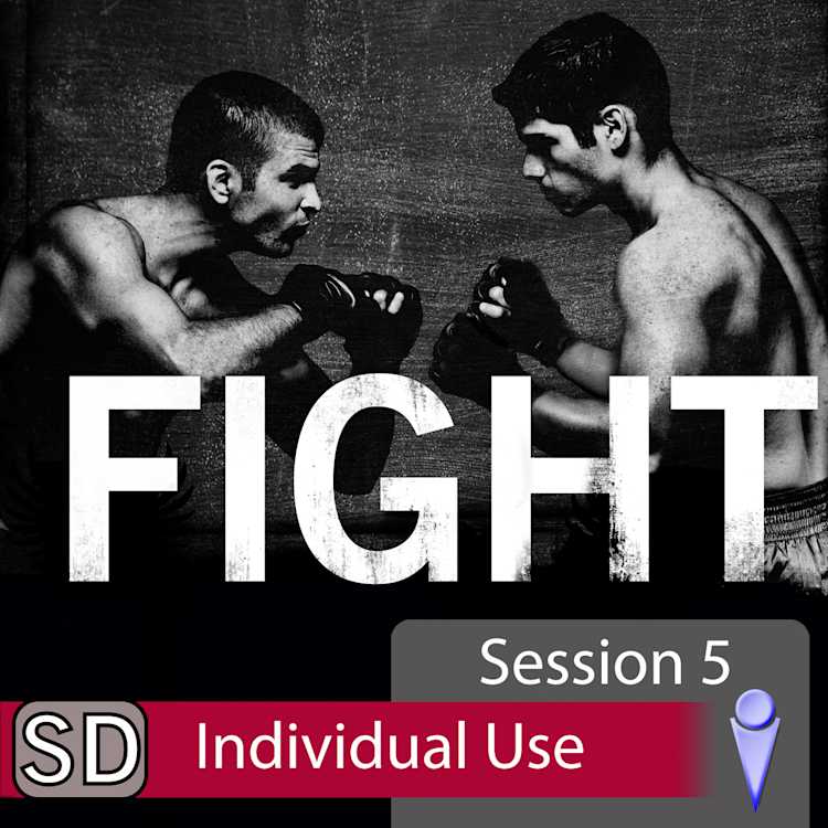 Fight: Video Session 5