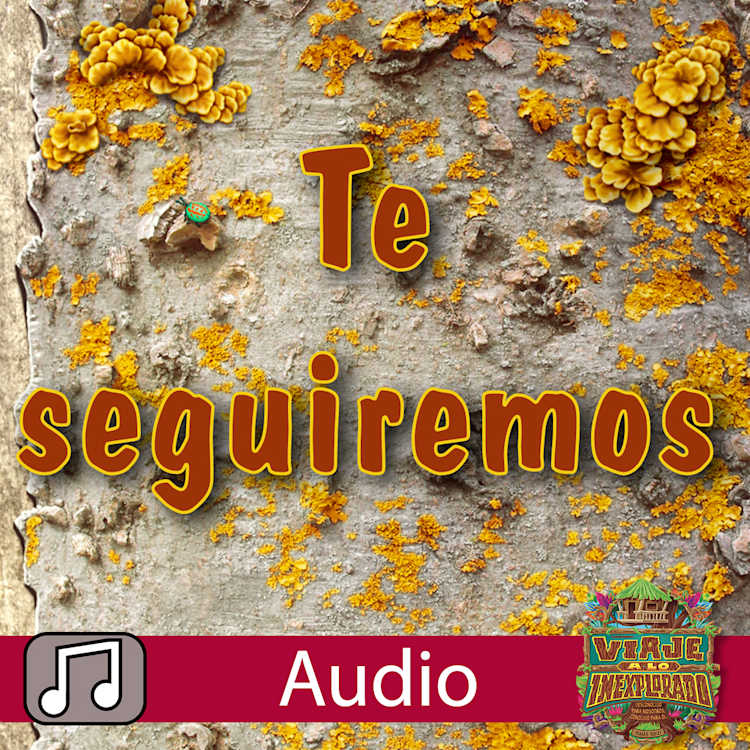 Música para Niños Lifeway: Te seguiremos - Audio
