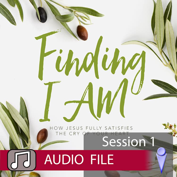 Finding I AM - Audio Session 1