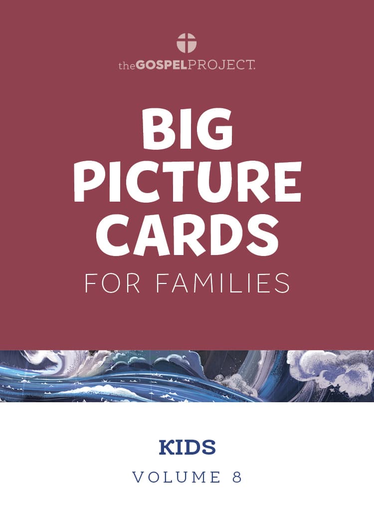 The Gospel Project for Kids: Kids Big Picture Cards - Volume 8: From Wonder to Rejection