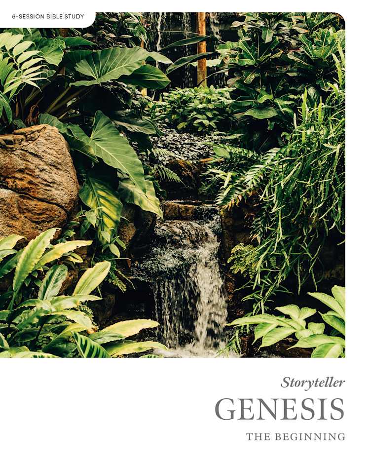 eBook - Genesis - Storyteller - Bible Study Book