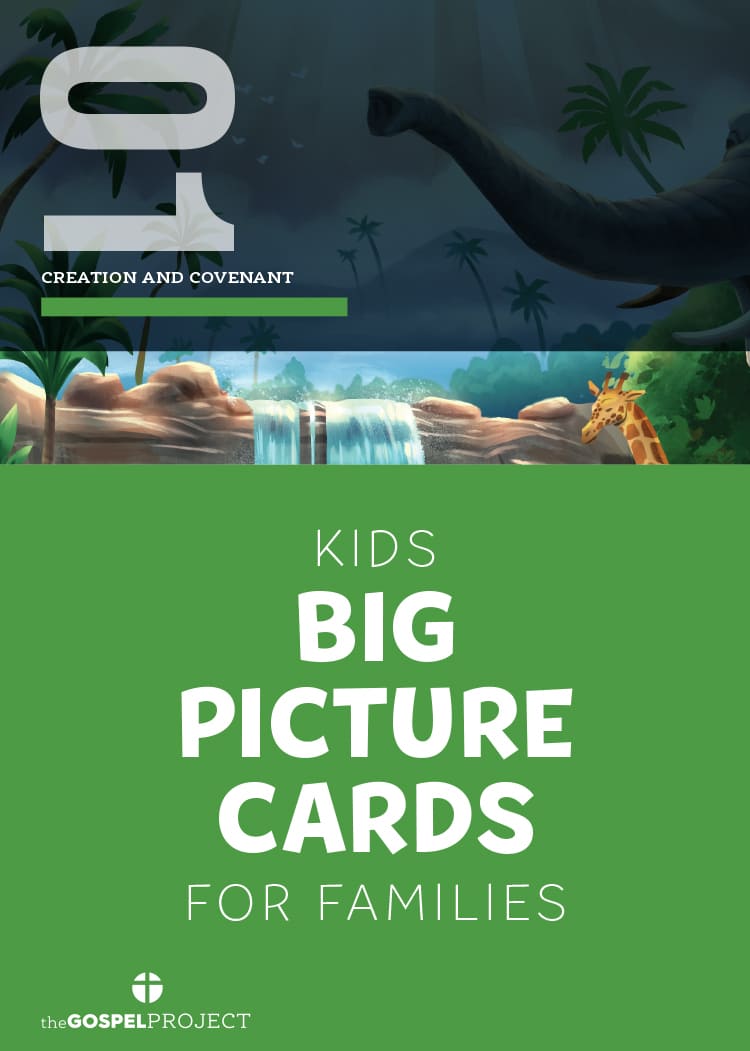 The Gospel Project for Kids: Kids Big Picture Cards - Volume 1: Creation and Covenant