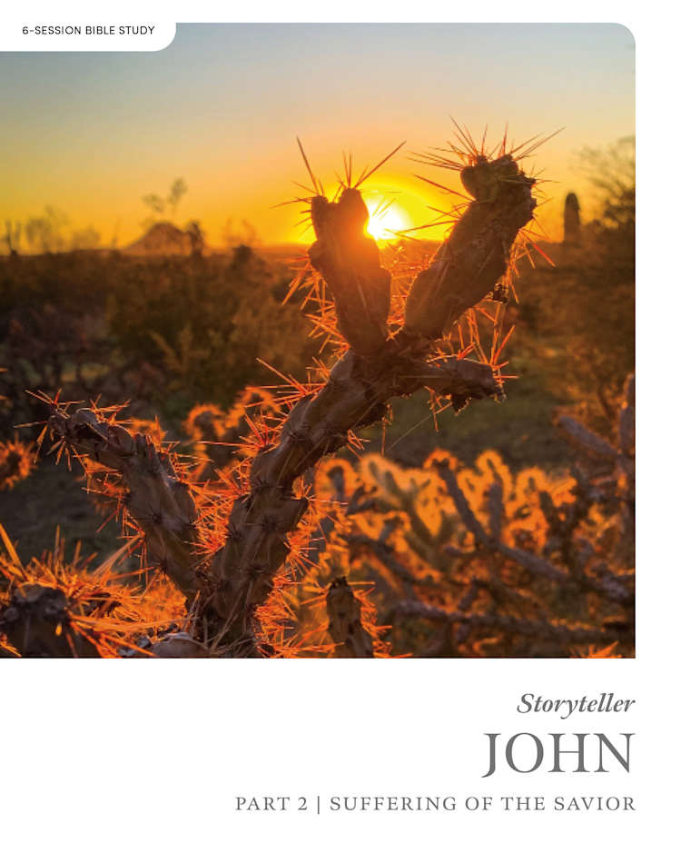 eBook - John Part 2: Storyteller - Bible Study Book