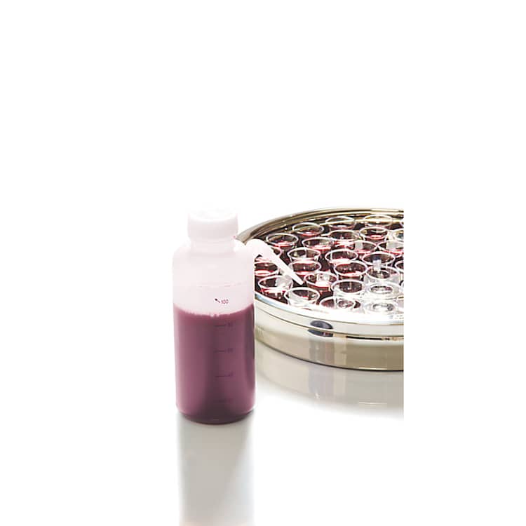 Communion Cup Filler with Side-Spout (16 oz. Bottle)