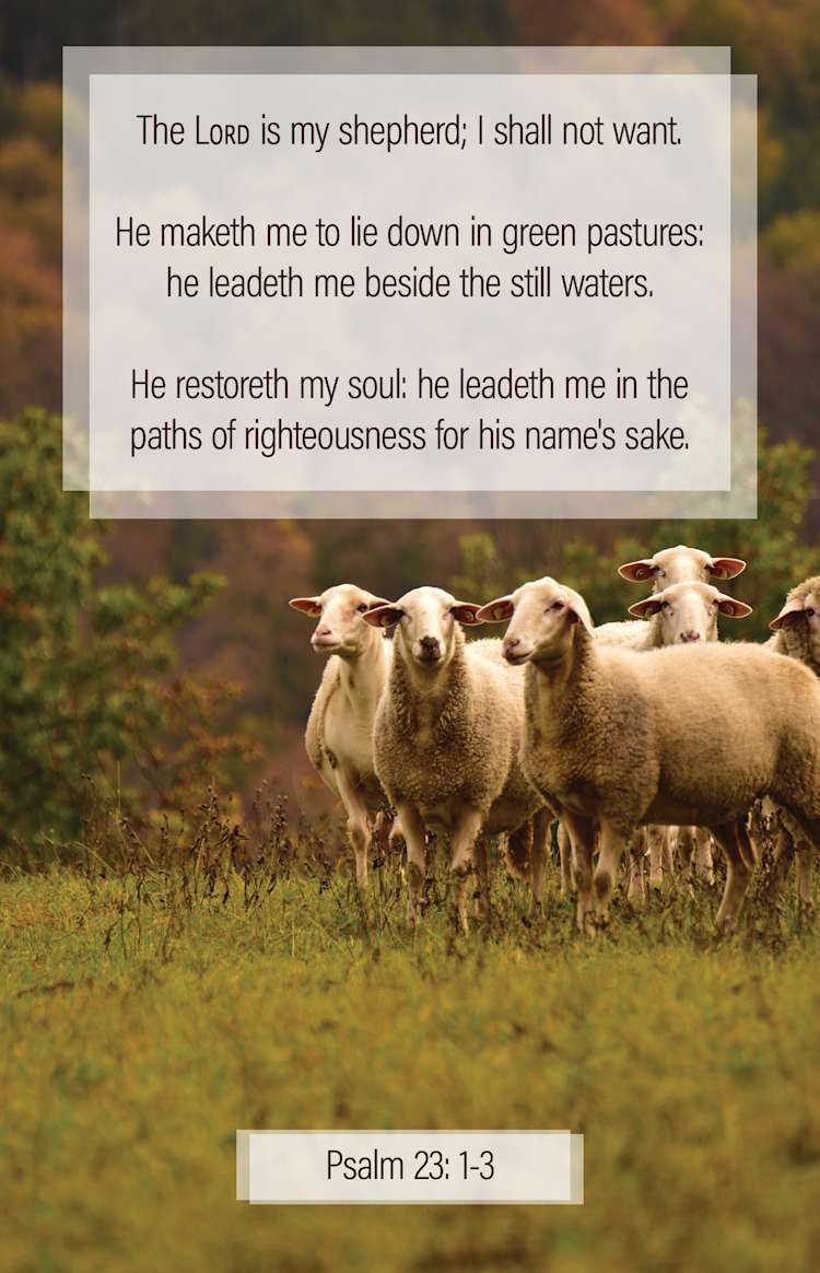 General Worship Bulletin: My Shepherd (Package of 100)