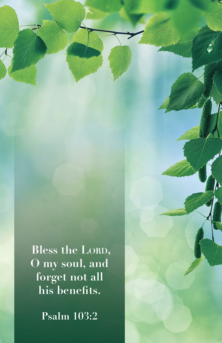 General Worship Bulletin: His Benefits (Package of 100)
