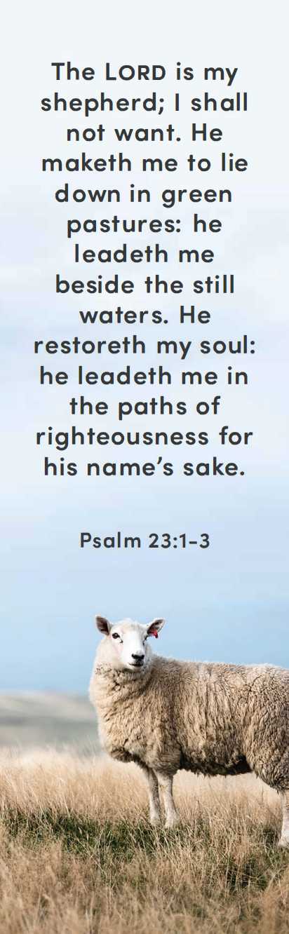 Inspirational Bookmark: 23rd Psalm (Package of 25)