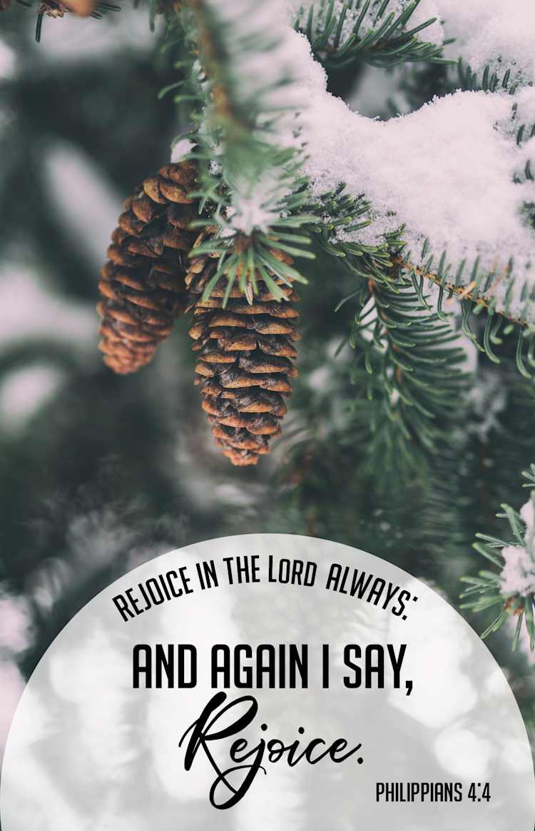General Worship Bulletin: Rejoice (Package of 100)