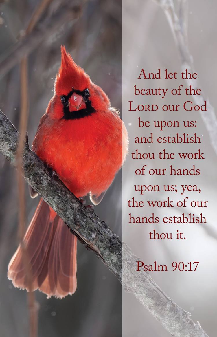 General Worship Bulletin: Work (Package of 100)