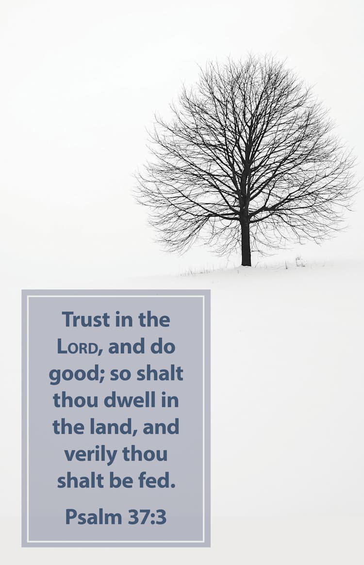 General Worship Bulletin: Trust (Package of 100)