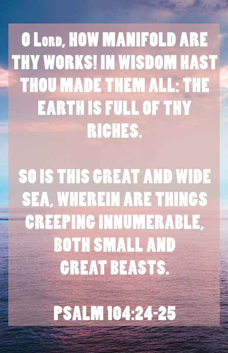 General Worship Bulletin: Thy Works (Package of 100)