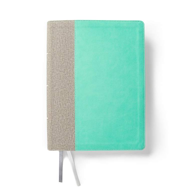 CSB Lifeway Women's Bible, Gray/Mint LeatherTouch