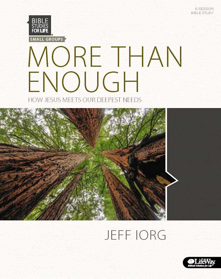 eBook - More Than Enough