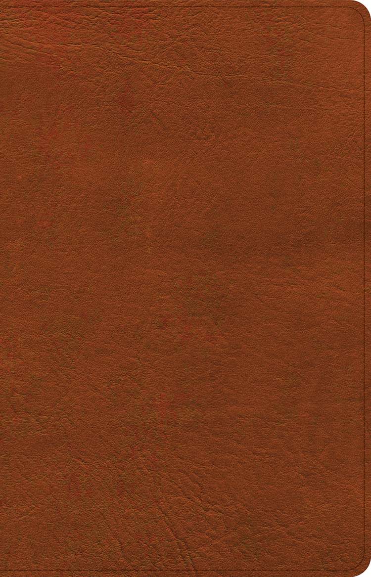 NASB Large Print Thinline Bible, Burnt Sienna LeatherTouch