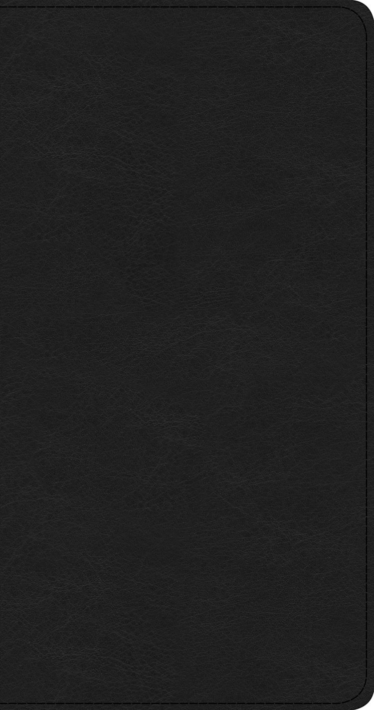 CSB Share Jesus Without Fear New Testament, Black LeatherTouch