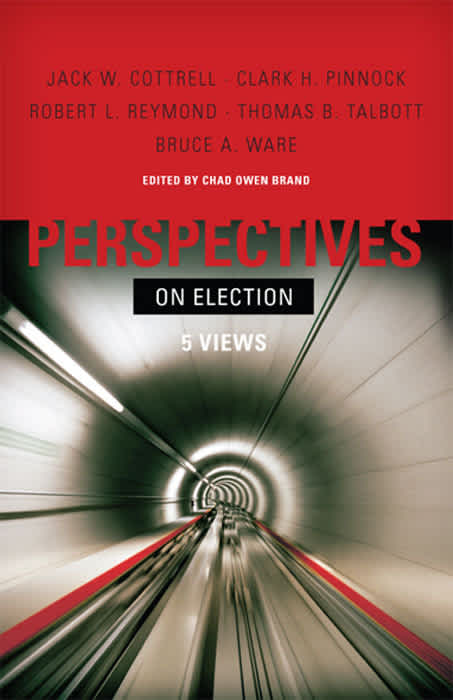 eBook - Perspectives on Election