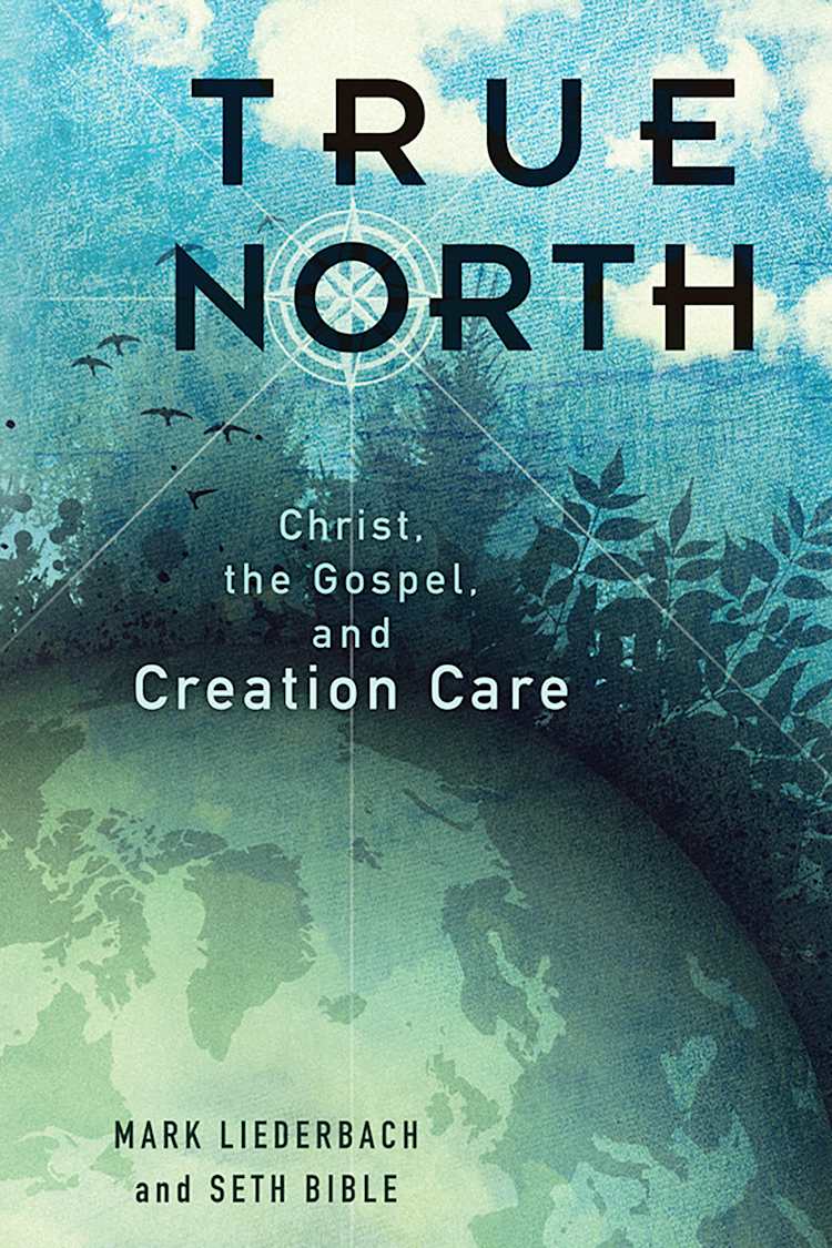 eBook - True North