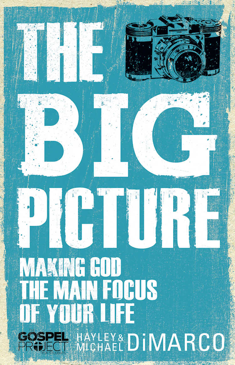 eBook - The Big Picture
