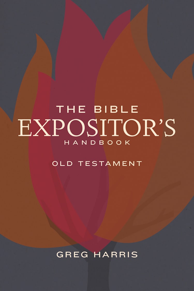 eBook - The Bible Expositor's Handbook, OT Edition