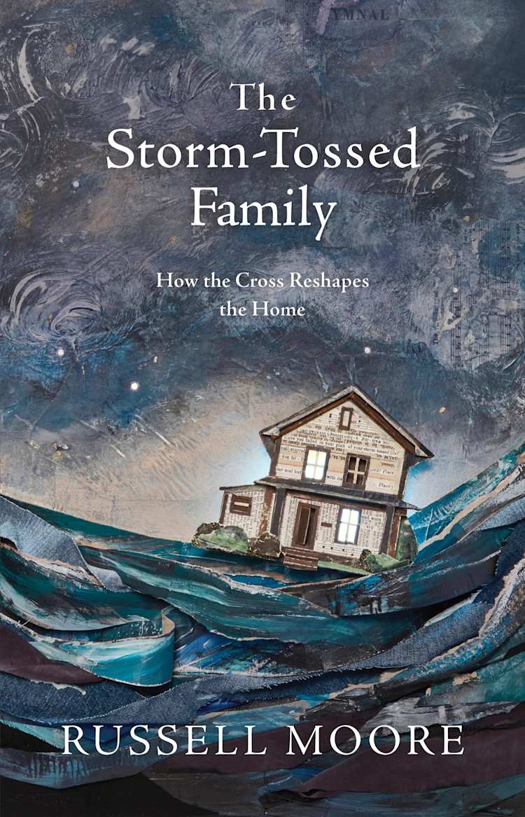 eBook - The Storm-Tossed Family