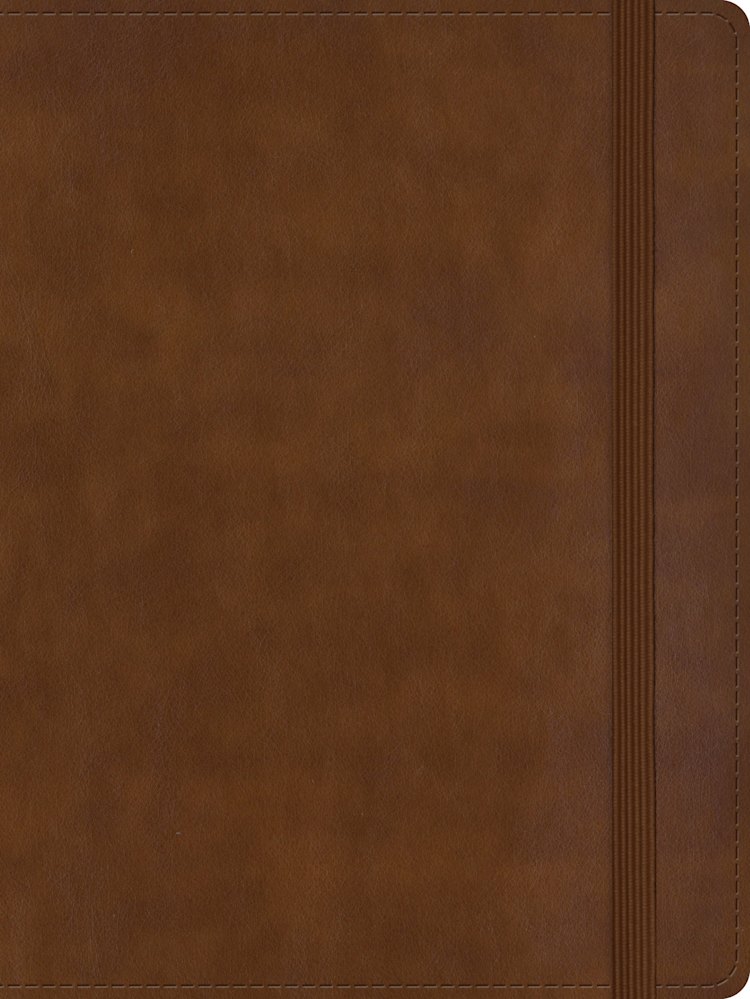 RVR 1960 Biblia de apuntes tamaño personal, café símil piel