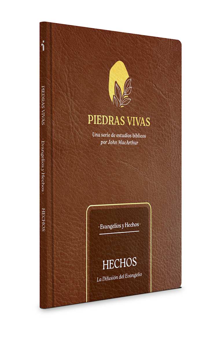 Piedras vivas: Hechos - Estudio bíblico