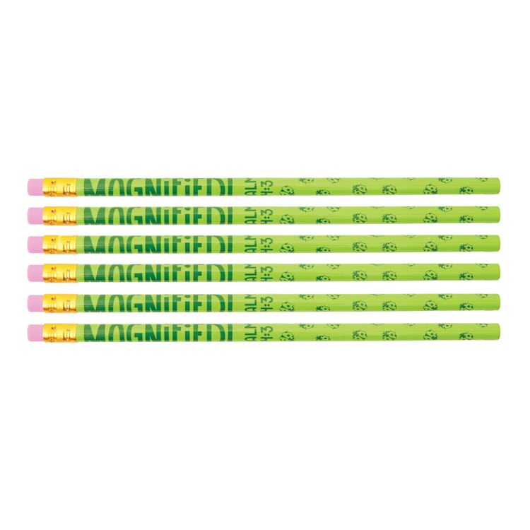 VBS 2025 Pencils (Package of 6)
