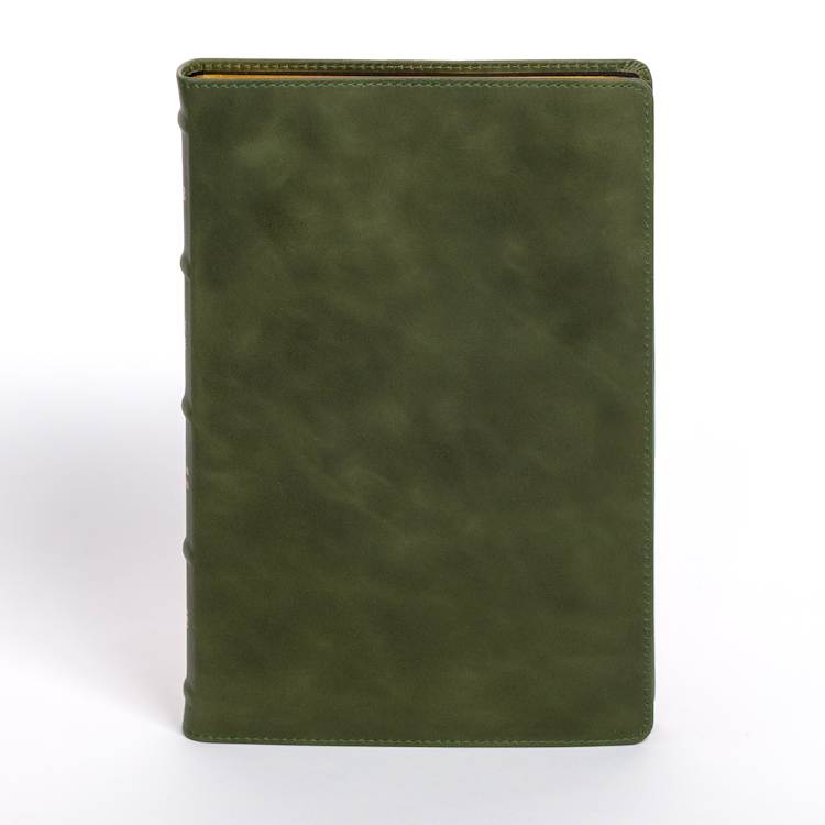 NASB Large Print Thinline Bible