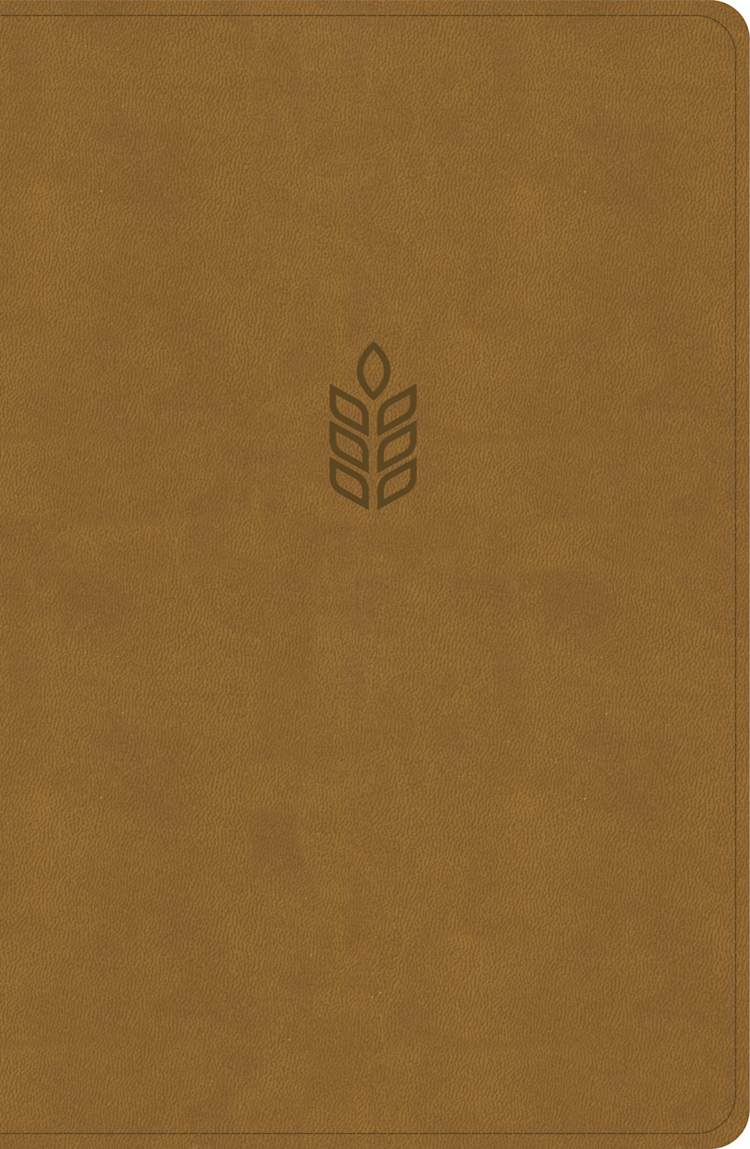 CSB Personal Size Giant Print Bible